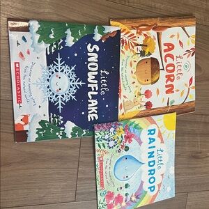 Little acorn , raindrop , snowflake . Set of 3 books